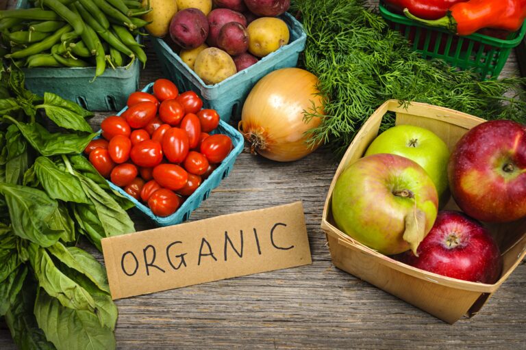 Revitalizing India’s Organic Sector: Navigating Challenges and Charting the Way Forward