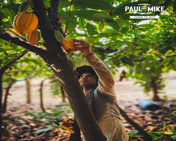 Paul and Mike supports cocoa community amid rising prices