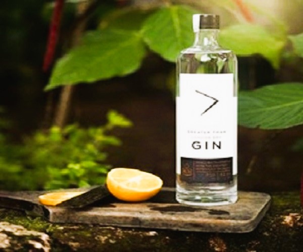 Greater Than Gin hits 1 million mark with record sales in FY 23-24