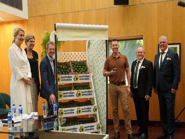 Australian avocados enter Indian market with Brett Lee as ambassador