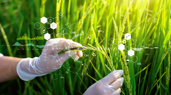 Agri-tech and retail innovations transforming the future of food