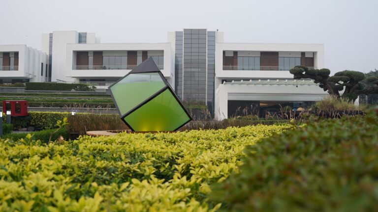 DS Group Leads the Way in Environmental Innovation with India’s First Outdoor Liquid Tree